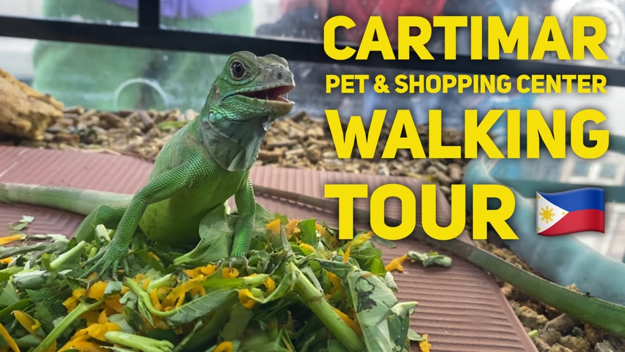 Cartimar Shopping and Pet Center Walking Tour Manila Market Gardening