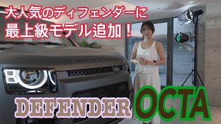 DVディフェンダー Land Rover Defender 90/110 Seat Rear Fold Up Vinyl Black