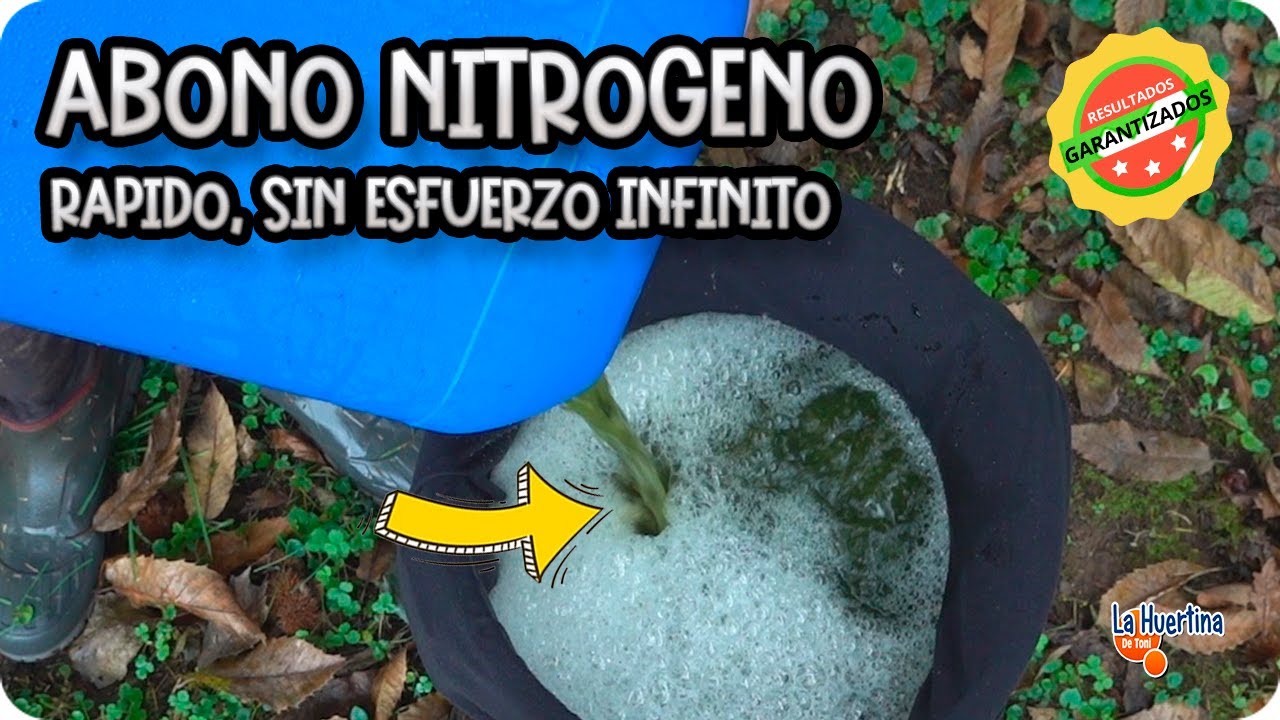 Purin De Ortigas Sin Remover - Fermentación Anaeróbica - Purin Sin Aire || La Huertina De Toni