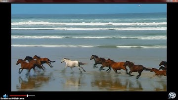 AxWindowsMediaPlayer Control de Volumen Personalizado con Visual Basic (VB.NET)