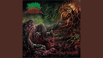 Primitives in the World, Today!