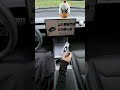 Magnetic Car Phone Mount | Strong Hold &amp; 360° Rotation#tesla #model3 #phoneholder #magneticmount
