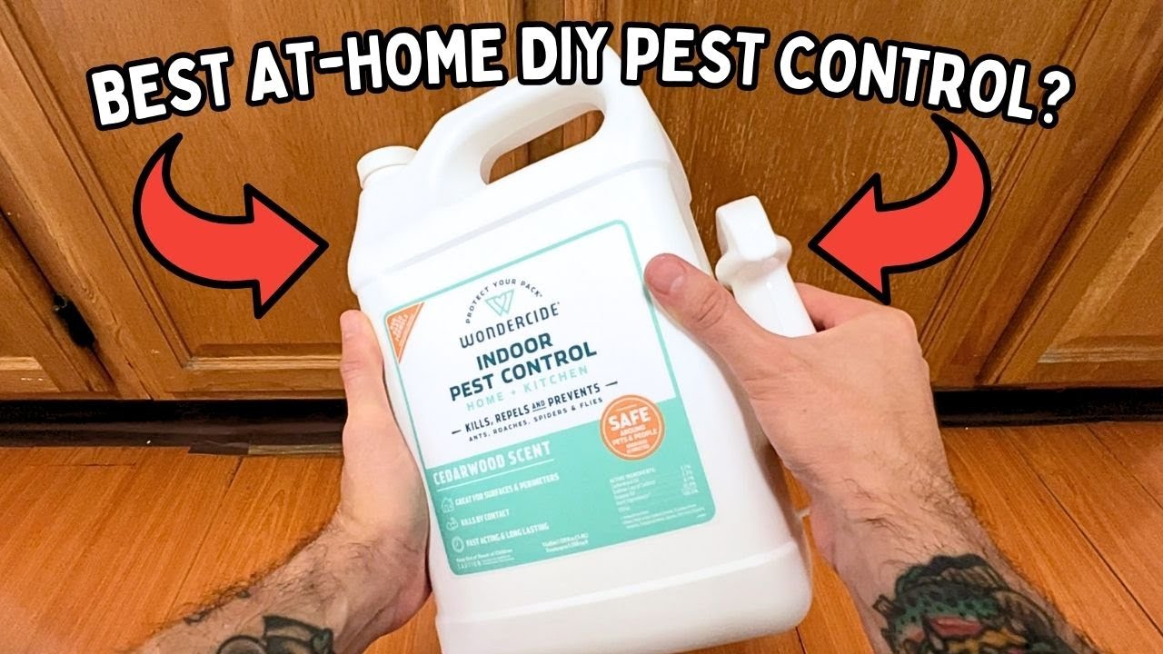 Should You Buy The Wondercide Indoor Pest Control (Honest Thoughts)