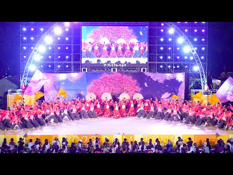 [4K] 常笑 【ファイナル審査演舞】にっぽんど真ん中祭り どまつり 2022 日曜 ファイナル