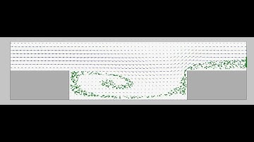 particulate flows with LBM (Re = 100)