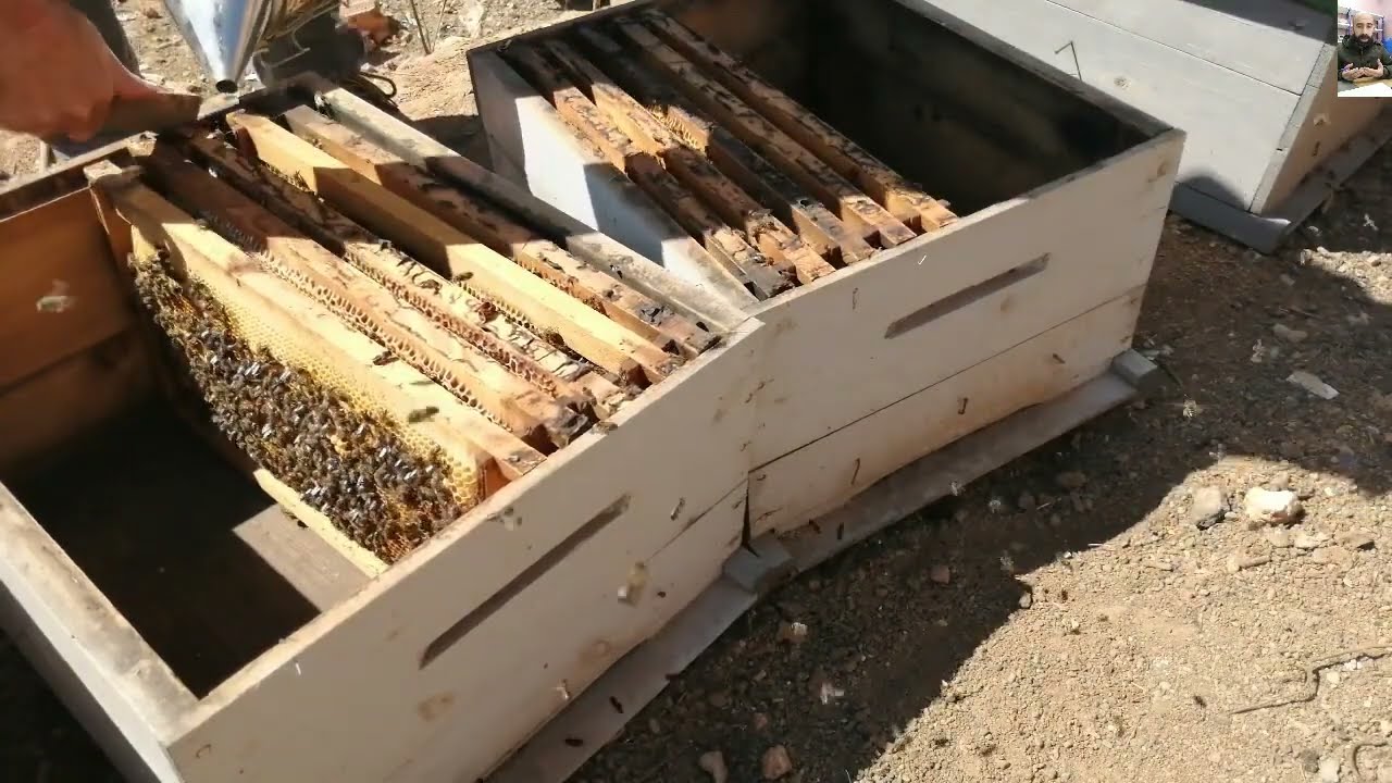 الحصول على سبعين خلية من عشرة خلايا بكل سهولة