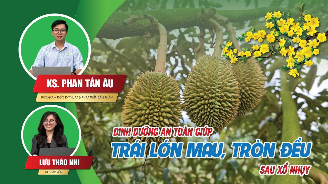 Tọa Đàm C.A.T Số Đặc Biệt: Dinh Dưỡng An Toàn, Giúp Trái Lớn Mau, Tròn Đều Sau Xổ Nhụy