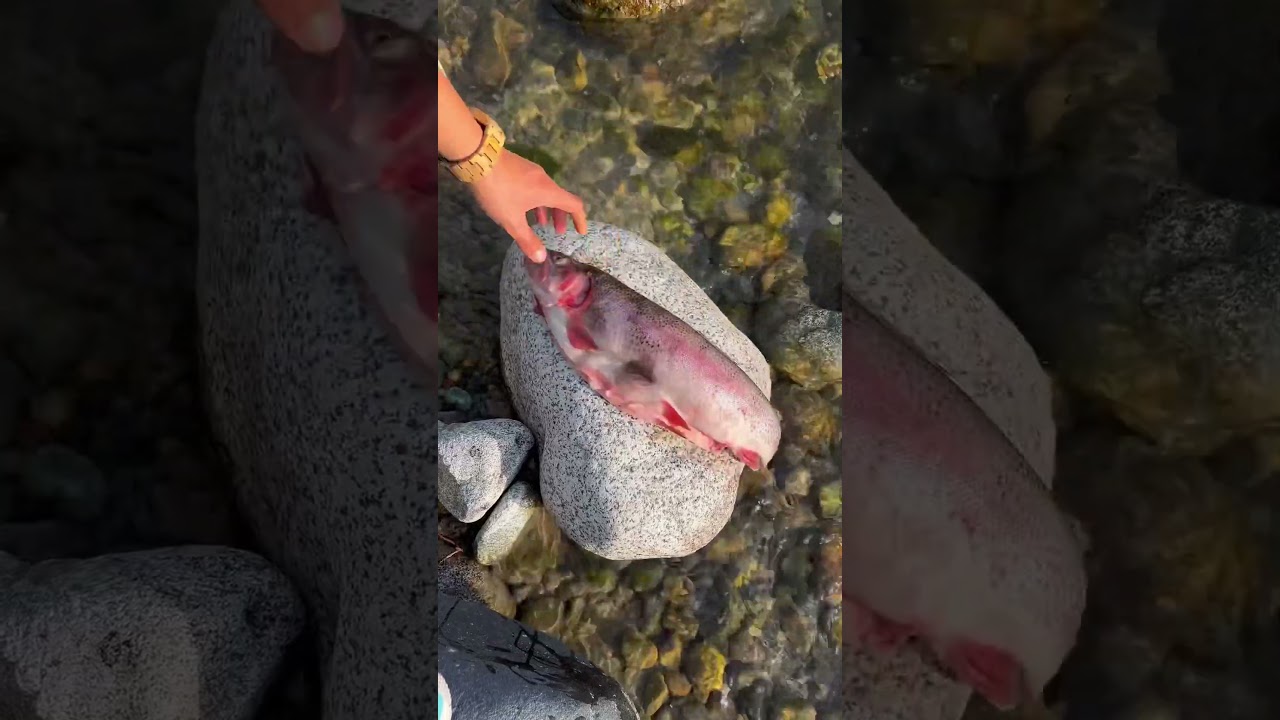 Smoke Grilled Fish in the Mountains (3 hours) 