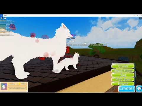 Kitsune and peacock game pass in farm world!!!! A Roblox game