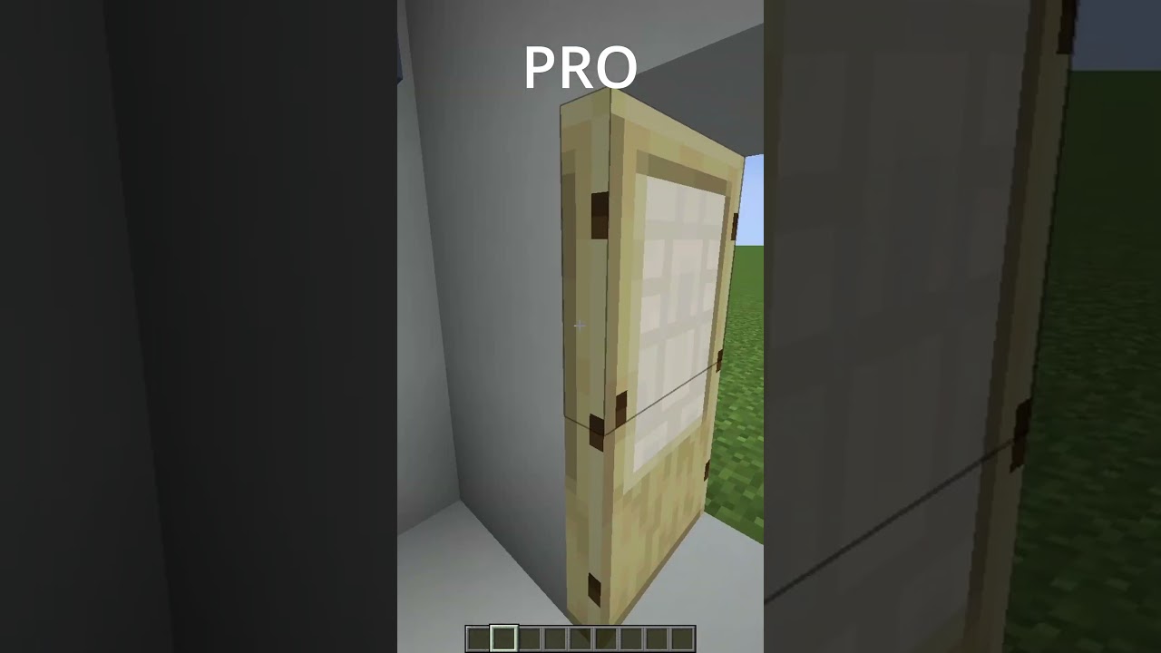 NOOB VS PRO