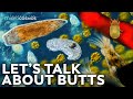 Microscopic Butts Are Fascinating | Compilation