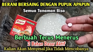 Saya Merinding Lihat Hasilnya Sekali Siram Tanaman Berbuah Lebat Terus Sepanjang Tahun ❗