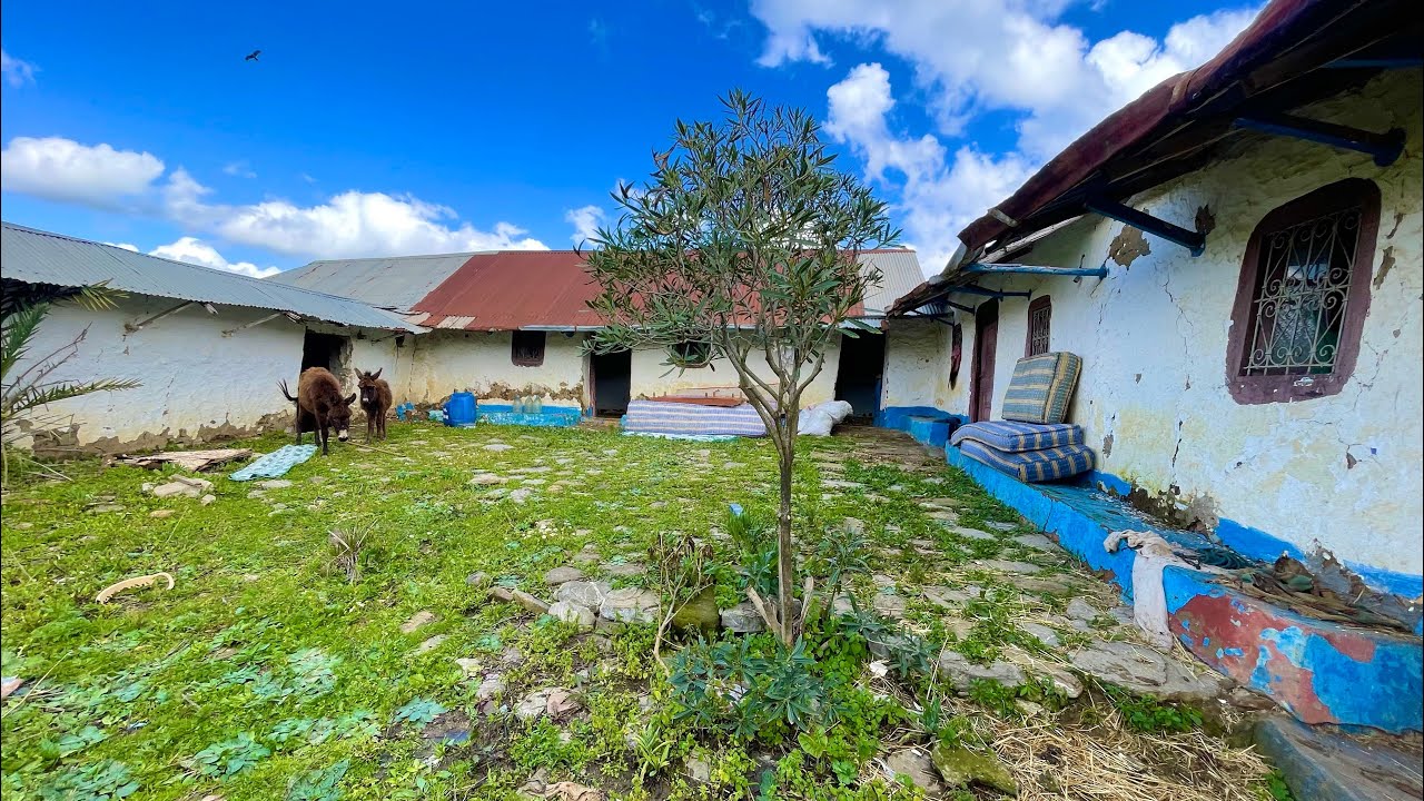 دار بلدية وغرسة محفضة هميزة معتبرة مليئة بالاشجار وفيها بيرمساحة2000متر0703640826طنجة