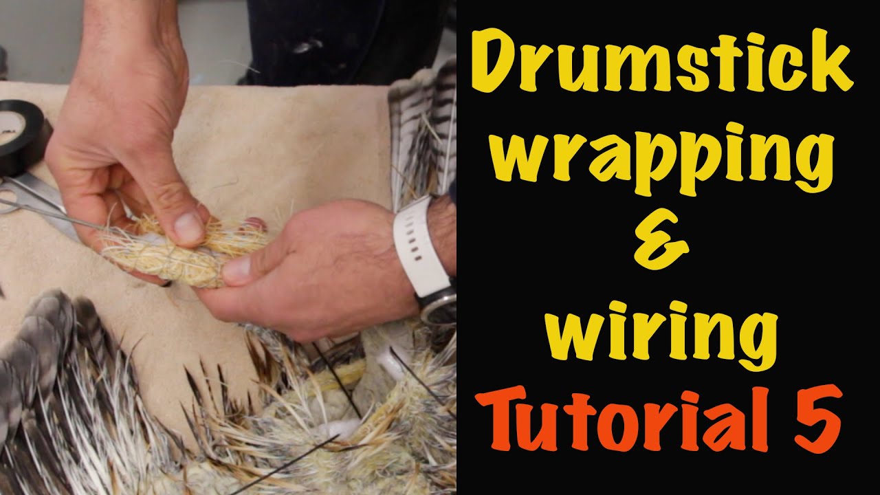 Swainson's Hawk Taxidermy. Tutorial 5, Proper wiring and Drumstick