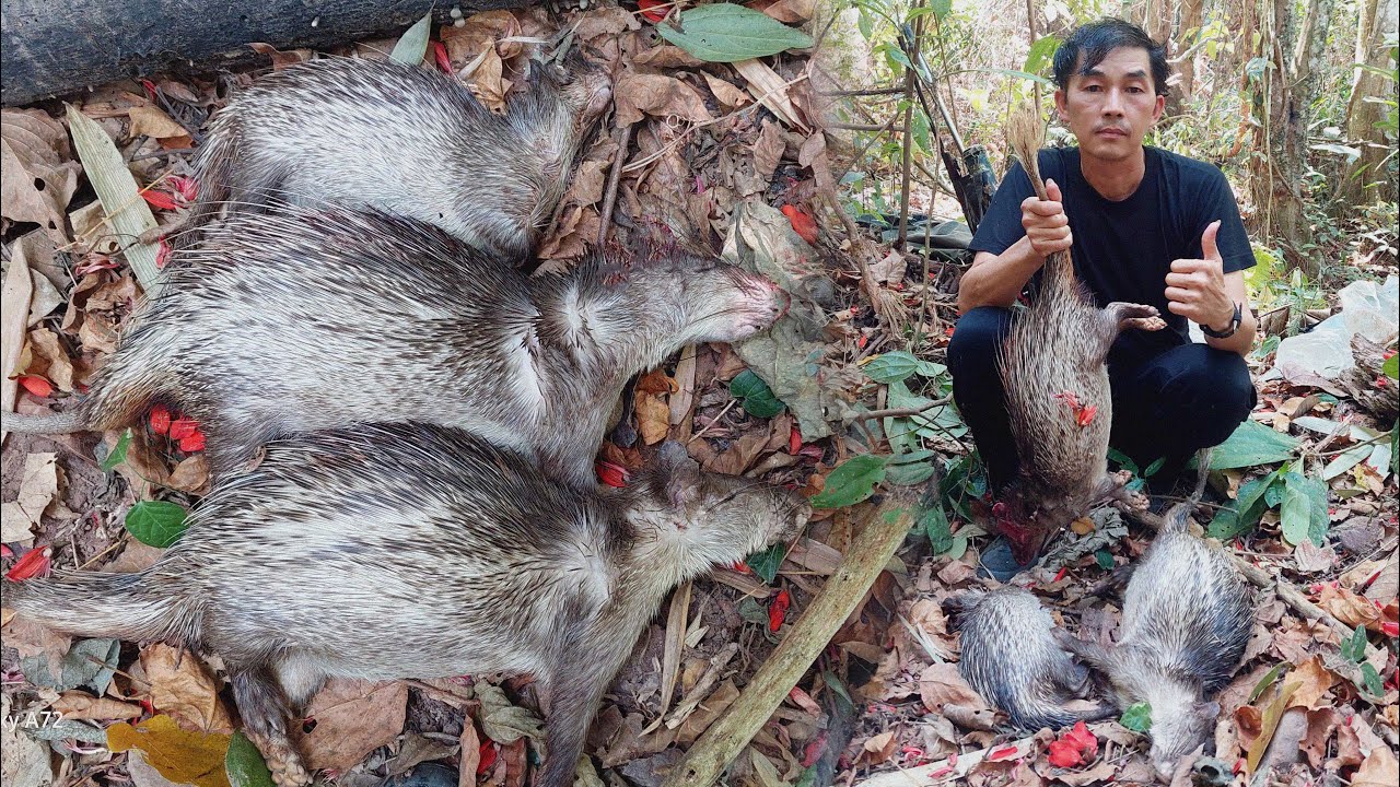 EP.134 เที่ยวป่าเฝ้ายิงหอนออกถ้ำเจอหมีตัวใหญ่ด้วยครับสุดๆเลย💥🌿mus zov nploog tua tau 3 tug loj kawg