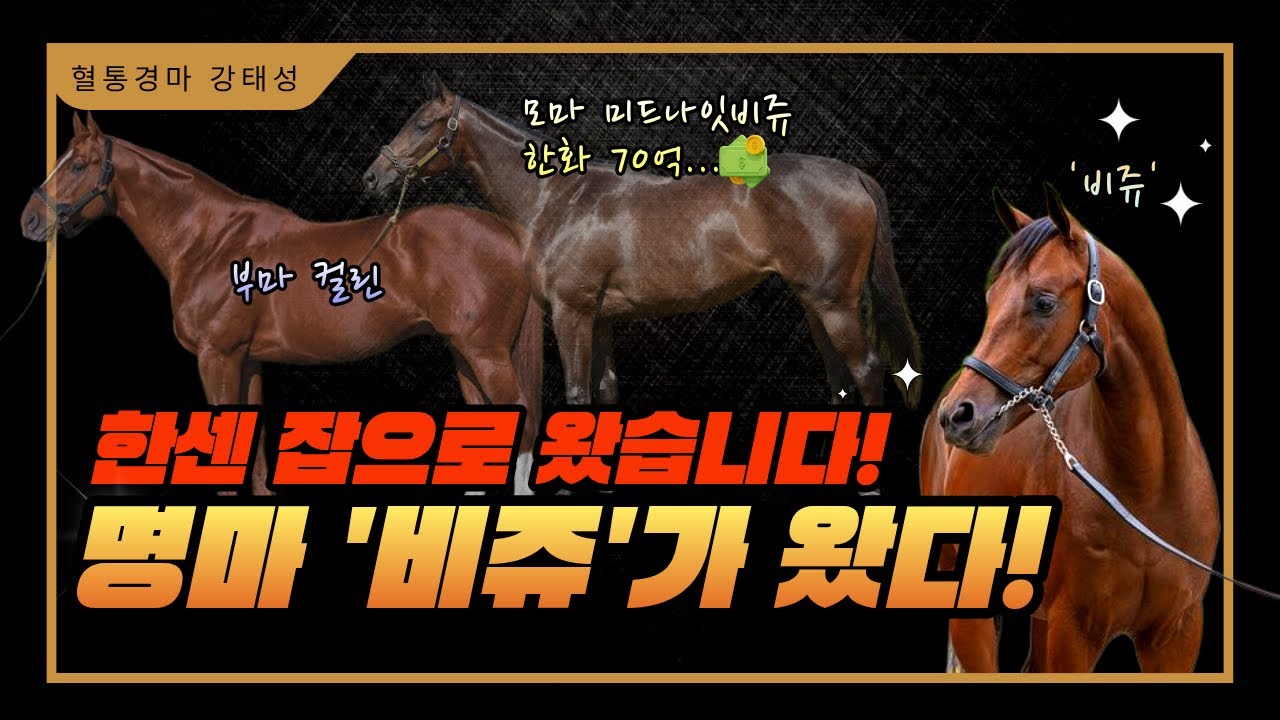 경마 완전히 바뀌겠네요. '한센' 잡으러 온 명마 '비쥬' 드디어 한국에 도착!