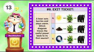 NGSS 5th Grade - Physical Science: 5-PS3-1 Food Chain: Transfer of Energy