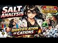 Salt Analysis (Chap 2): Identification of Cations | NCERT Class 11/12, NEET, JEE Main Chemistry