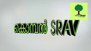 Komban Srav Intro Videos Coming