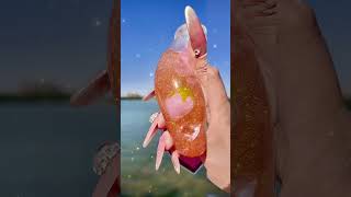 Clear Bottle Squishy Ball – Handmade Stress Relief Desk Toy | Crystal & Soda Bottle#squishy #CHIBOKI