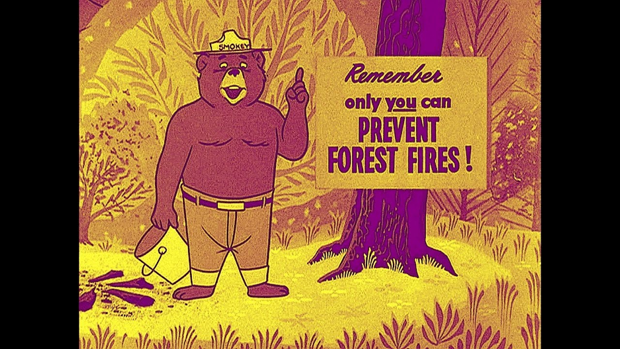 Vintage Smokey Bear PSA 1962 Living Tree Face Anthropomorphic Version B&W - YouTube
