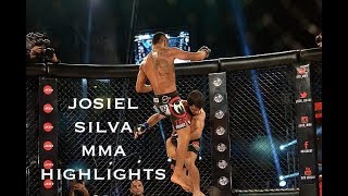 Josiel Silva Mma Highlights Hello Japan