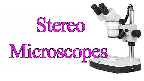 Stereo microscope I Stereo zoom microscope I Dissecting microscope I Stereo Vs light microscope