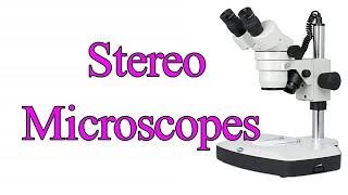 Stereo microscope I Stereo zoom microscope I Dissecting microscope I Stereo Vs light microscope