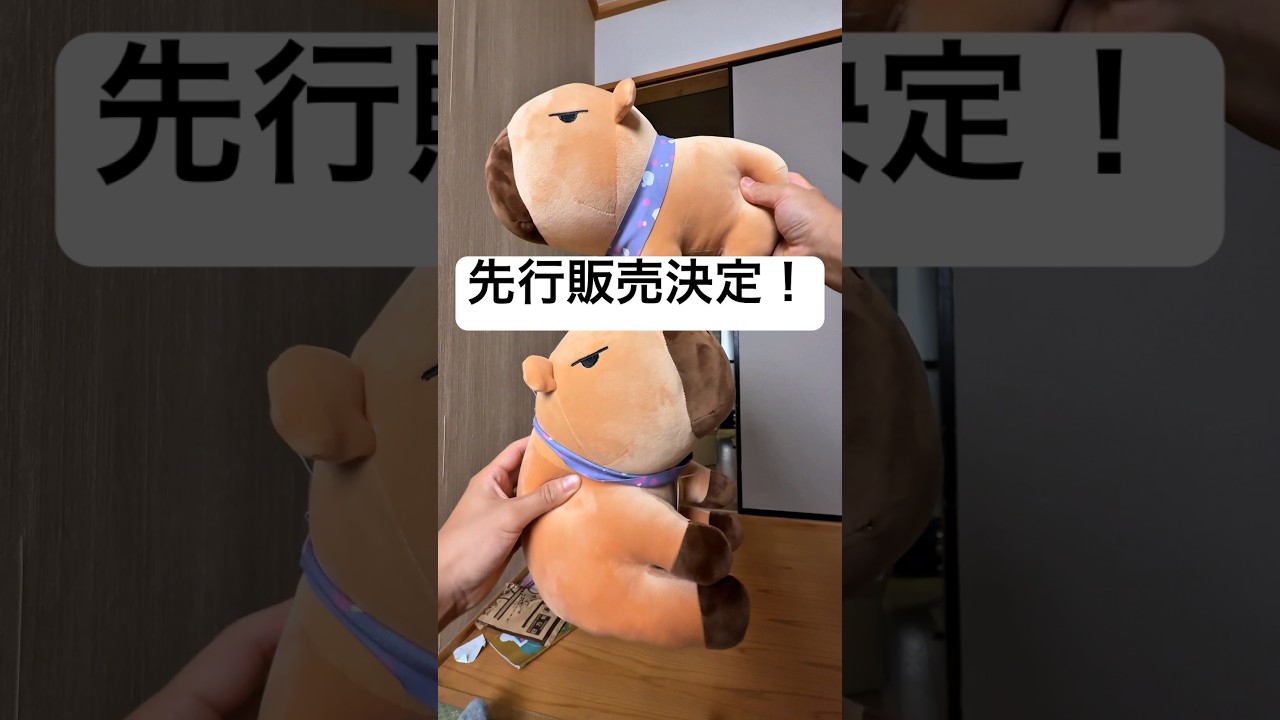 ごらカピぬいぐるみ先行販売について