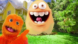 Fuzzy's Giant Egg (4K res RE-UPLOAD with new intro!)