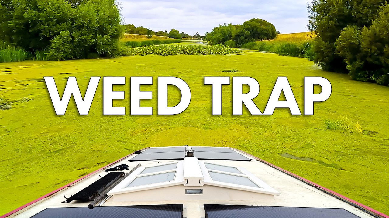 ⁣Swallowed by Weed: Is the River Witham Impassable? | Canal Boat Ep 421