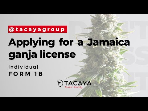 Part 2-Individual:  How to Applying for a Jamaica License from the CLA