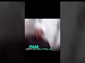 ماذا استفادت الشيعه من الامام المهدي عجل الله فرجه ورد امير القريشي