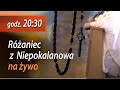 Różaniec z Niepokalanowa 22.11 g. 20:30 na żywo | NIEPOKALANÓW Kaplica św. Maksymiliana Kolbe