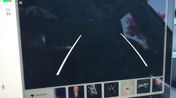 My Tesla Model 3 backup camera fail