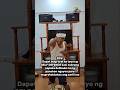 didn't expect at the end #trending #shortvideo #viralshorts #funny #magic #comedy #edit #tutorial