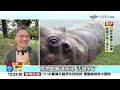 #中視午間新聞線上看 20260628(週日)