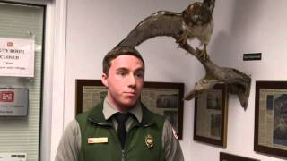 Can you camp on the shoreline or on an island at Beaver Lake?