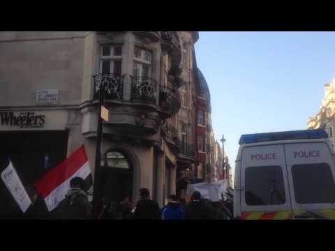 مظاهرات الجالية السورية في لندن 11 2 2012