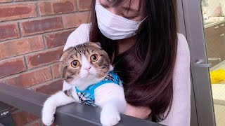 久々のお外の風景に夢中な猫が可愛いすぎたw