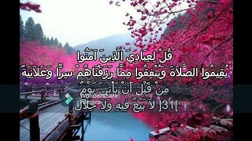سورة إبراهيم بدون إعلانات تلاوة تهتز لها القلوب surah Ibraheem ياسر الدوسري