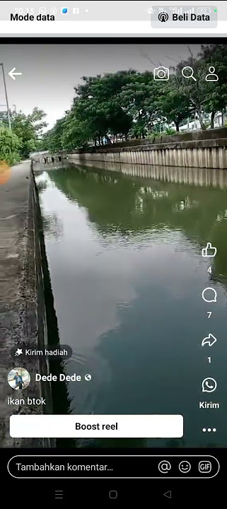 sarang ikan betok#mancing