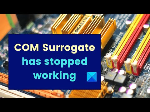 Program exe or COM Surrogate has stopped working error in Windows 11/10