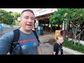 Nate and Ave travel day to Disney World!  First day at Disney&#39;s Animal Kingdom.