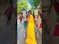 Safar Me mile 2 pyaare horse 🐎 l @maahiQueen l #travel #memories
