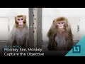 Level1 News February 10 2021: Monkey See, Monkey Capture the Objective