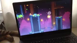 The Firebird 100% By Team Tcm