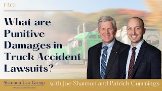 Details FAQ: What are Punitive Damages in Truck Accident Lawsuits | Ask a Truck Accident Lawyer Guide