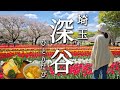 [ひとり旅] 埼玉県深谷市へ！チューリップや深谷やさいを堪能する1泊2日ひとり旅〈旅館 きん藤〉