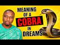 Meaning of COBRAs in Dreams - Biblical and Spiritual